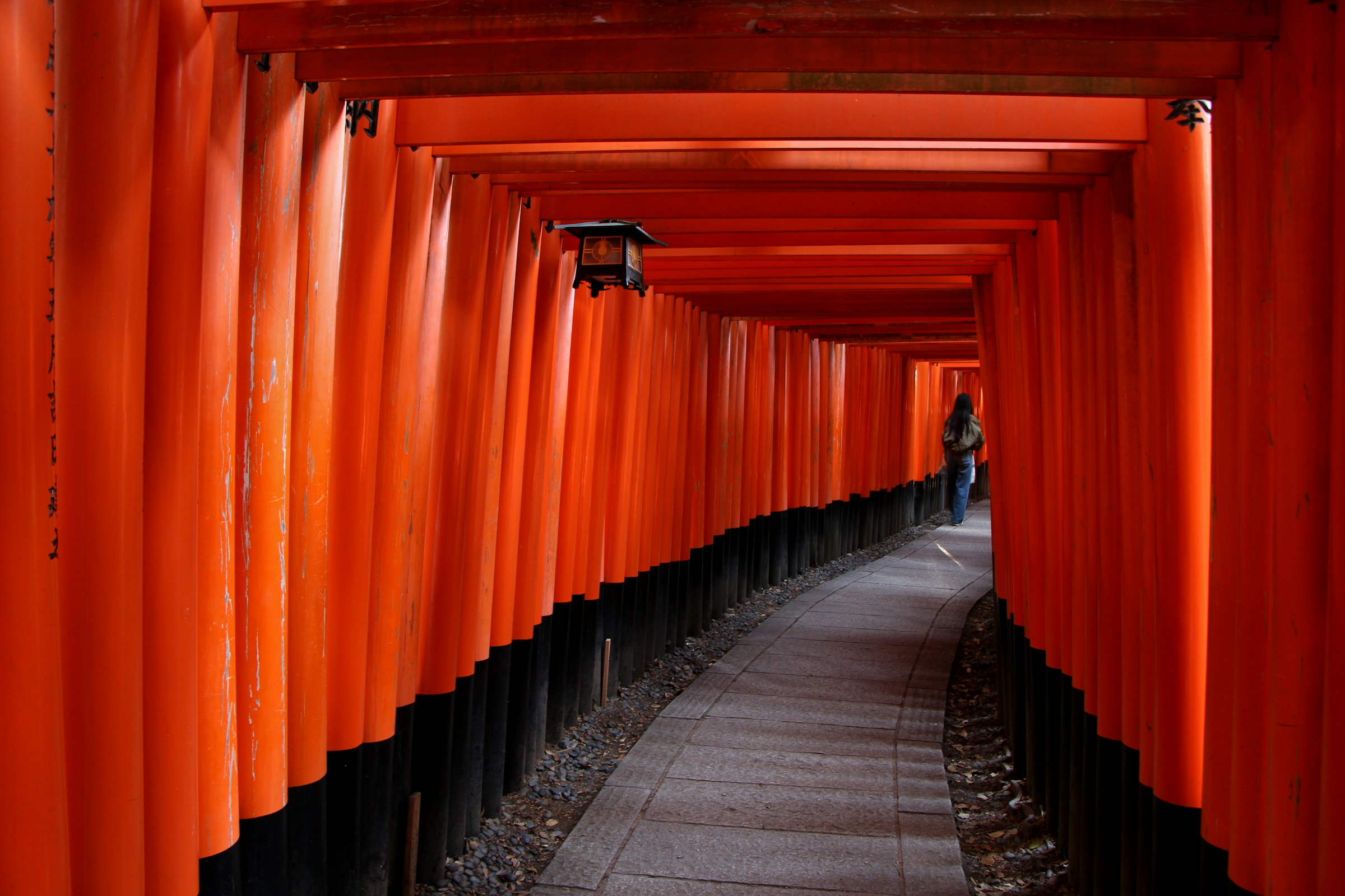 Vermilion torii gates forming a luminous passage in Kyoto